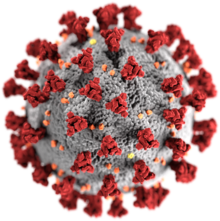 upload_Nikon-related-disruptions-because-of-the-coronavirus-COVID-19.png